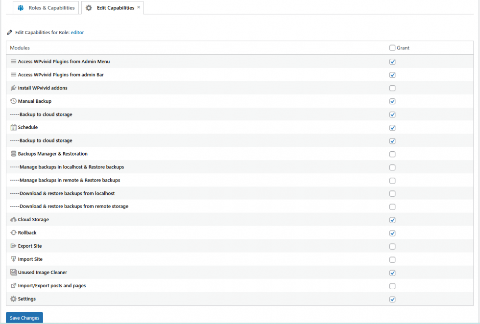 Edit User Roles Capabilities in Backup & Migration Pro | WPvivid ...
