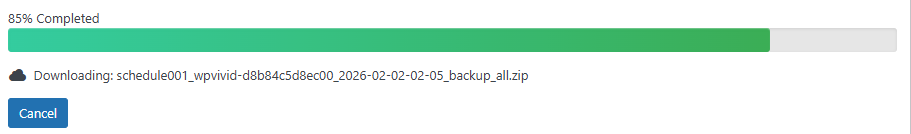 WPvivid Backup Pro Backup Download Process