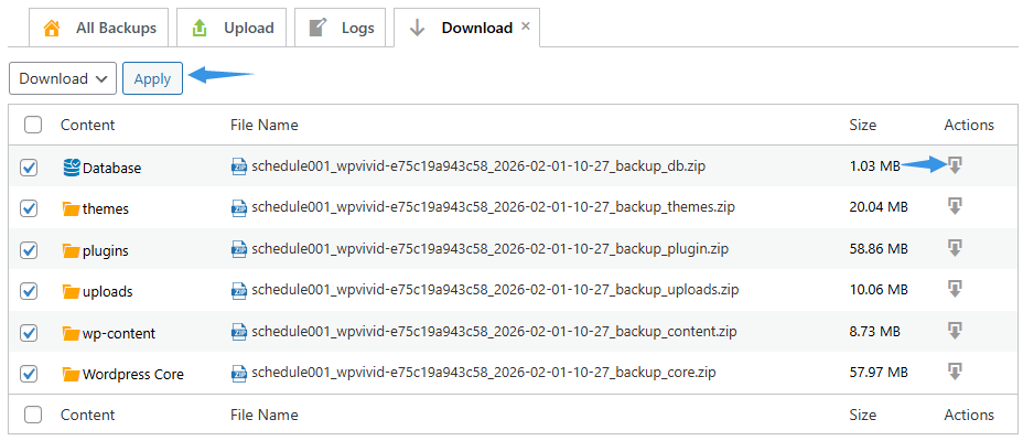 WPvivid Backup Pro Download Backups